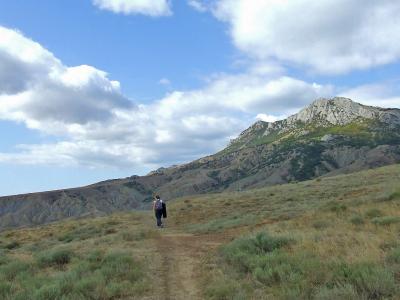 Прикрепленное изображение: CCN12.jpg